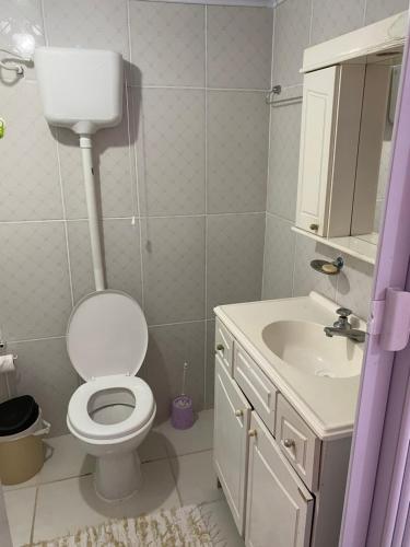 ein Bad mit einem WC und einem Waschbecken in der Unterkunft Mini house Nara in Canela