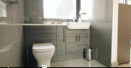 La salle de bains est pourvue de toilettes blanches et d'un lavabo. dans l'établissement Hollywood vibes in pembrokeshire, à Haverfordwest