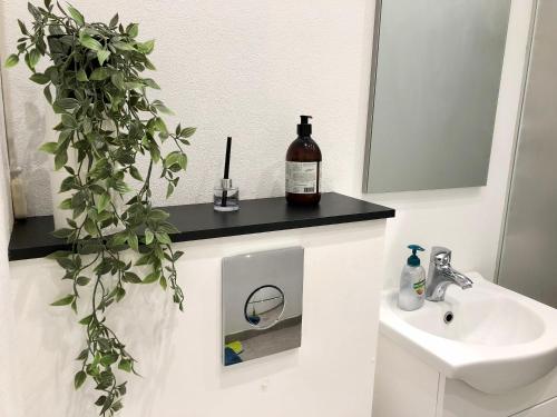 a bathroom with a sink and a mirror and a plant at Private Scandinavian Apartment in Randers