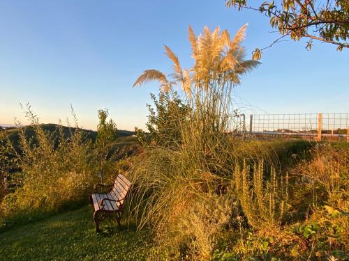 a bench sitting in the grass next to a field at Ferrarotti in Clavesana