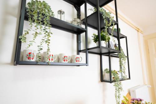 a black shelf with plants and mugs on it at White Wolf House Hostel & Apartments in Prague