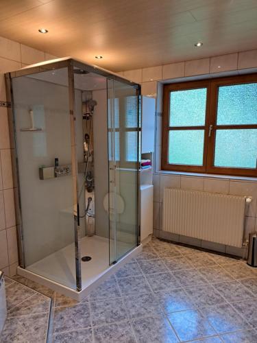 a bathroom with a shower with a glass enclosure at Ferienwohnung Irene in Galgenul