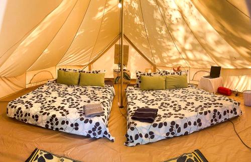 a tent with two beds in front of it at On the Rocks in Koh Rong Sanloem