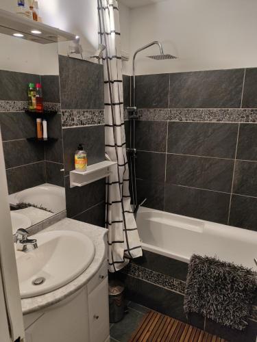 une salle de bain avec un lavabo, une baignoire et une douche dans l'établissement Super Sauze charmant studio en bas des pistes, à Enchastrayes