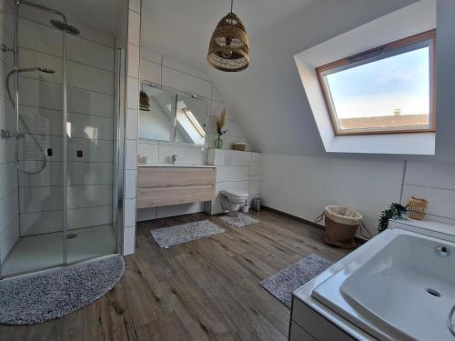ein Bad mit einer Dusche und einem Waschbecken in der Unterkunft Chez Iris in Jebsheim