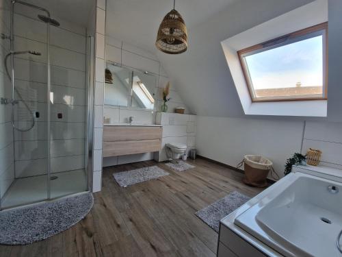 a bathroom with a shower and a sink at Chez Iris in Jebsheim