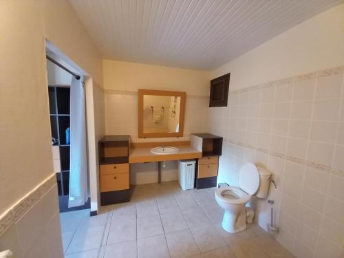 uma casa de banho com um lavatório e um WC em Vacances martinique em Sainte-Anne