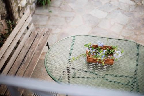 a glass table with a pot of flowers on it at Villa l'Approdo in Anacapri