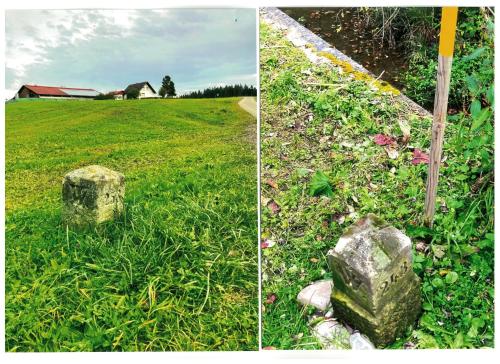 duas imagens de um campo com pedras na relva em Landpension Sternberg em Grünenbach