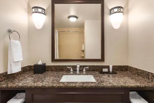 Embassy Suites by Hilton Orlando Lake Buena Vista South photo 8