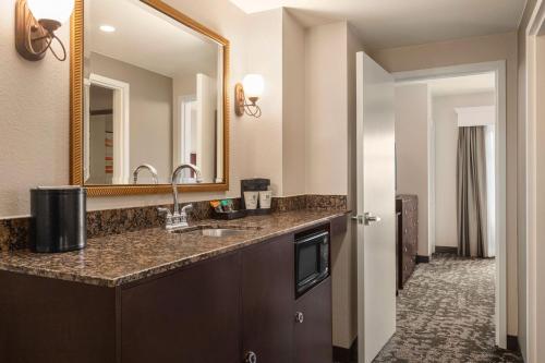 基西米Embassy Suites by Hilton Orlando Lake Buena Vista South的带水槽和镜子的浴室