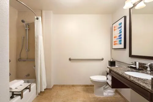 Embassy Suites by Hilton Orlando Lake Buena Vista South photo 15