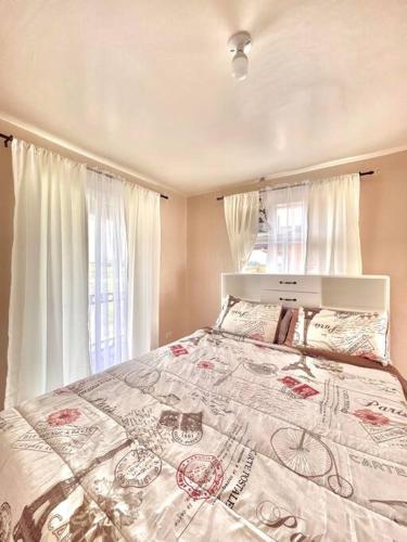 1 dormitorio con 1 cama grande y ventana grande en Camella Home Greta Model Rental in Bacolod en Bacólod