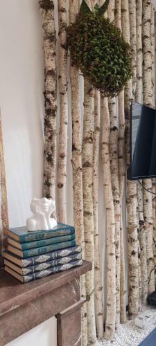 a wall mural of aspen trees next to a fireplace at Studio 4 personnes aux pieds du château de Blois avec expérience de dormir sous les aurores boréales in Blois