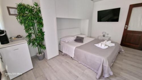 Kuchyň nebo kuchyňský kout v ubytování Terry's House