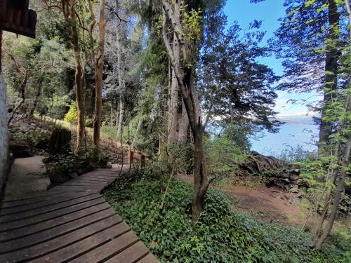 a wooden pathway with a tree and the water at Cabañas con costa al lago, Kalfulafquen in Villa La Angostura