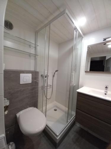 W łazience znajduje się prysznic, toaleta i umywalka. w obiekcie appartement en chalet au pied des pistes w mieście La Norma