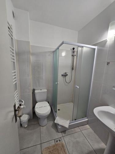 W łazience znajduje się prysznic, toaleta i umywalka. w obiekcie Pensiunea Redabel w mieście Cojocna