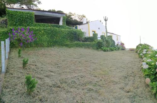 - un jardin avec des fleurs violettes sur le côté d'une maison dans l'établissement Cantinho da Terra Alta, à Santo Amaro