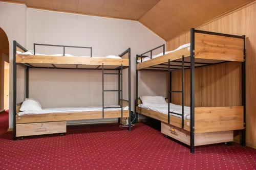 Ce dortoir comprend 2 lits superposés et de la moquette rouge. dans l'établissement Almaty Backpackers, à Almaty