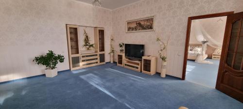 a living room with a tv and a blue carpet at Готельно-Ресторанний Комплекс Три Бобри in Litowiż