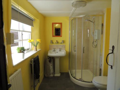 a yellow bathroom with a shower and a sink at The Cottage on the Green in Winkleigh