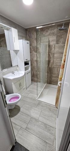 a bathroom with a shower and a toilet and a sink at MURIC Apartman 8 in Ljubljana