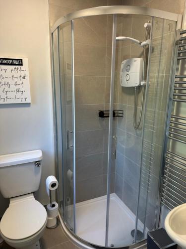 a bathroom with a shower with a toilet and a sink at Pineridge Snug in Wexford