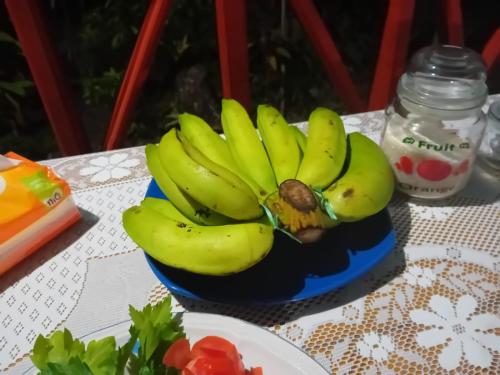 Ngurblut的住宿－Delima Cottage, Ngurbloat Beach，桌上的蓝色碗上的一束香蕉