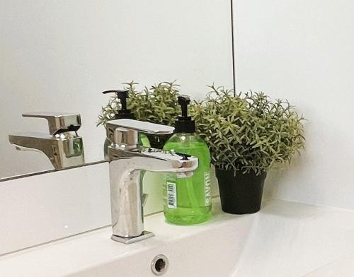 ル・トレポールにあるVilla Saint Jacques, Studio Le Cielの洗面台(緑の石鹸と植物付)