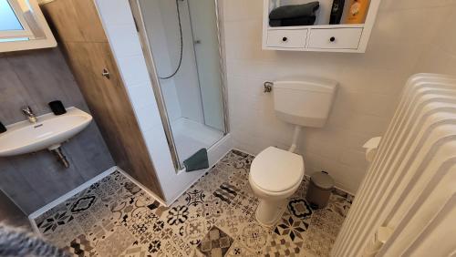 a bathroom with a shower and a toilet and a sink at Gemütliches Apartment im Wald - Netflix & Prime in Marktleugast
