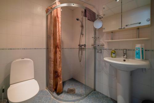 y baño con ducha y lavamanos. en Romeo Family Kaarli Apartment, en Tallin