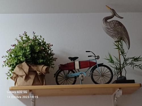 Un estante con un pájaro y una bicicleta. en Habitaciones Gioly en Puerto del Rosario