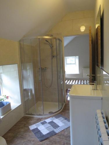 een badkamer met een douche en een wastafel bij Glenwood House Farm in Knightstown