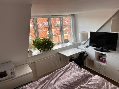 a bedroom with a bed and a tv and a window at Værelse i lejlighed med udsigt og ro in Aarhus