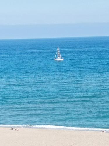 a sail boat in the middle of the ocean at Appartement 3 pièces front de mer in Le Barcarès
