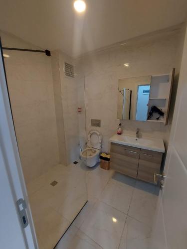 a bathroom with a toilet and a sink and a mirror at Fatih apart otel in Bostancı