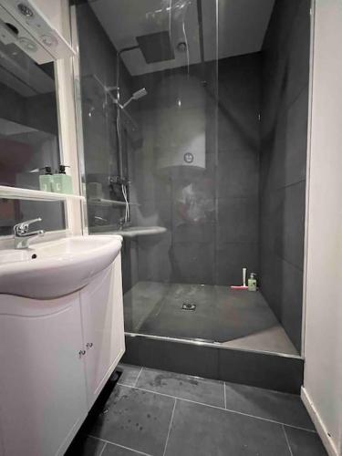 een badkamer met een douche en een wastafel bij Appartement 2 mairie de Marcq in Marcq-en-Baroeul