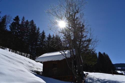 a snow covered cabin with the sun behind a tree at Appartements Kolberhof in Alpbach