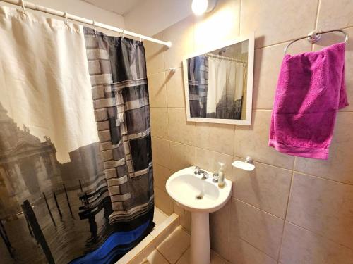 a bathroom with a sink and a shower curtain at Departamento 2 Dormitorios Ruta 6 in General Roca