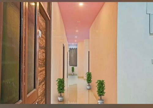 a hallway with two potted plants in a building at Hotel Sanwariya Residency in Udaipur