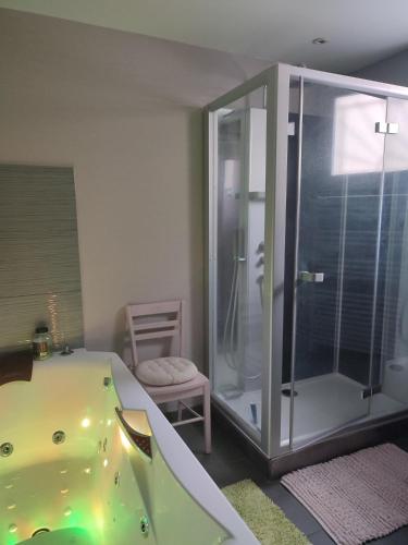 une salle de bain avec baignoire et douche en verre dans l'établissement Agréable maison de ville, proche du centre ville, à Vichy