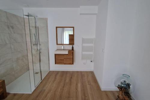 uma casa de banho com um chuveiro, um lavatório e um espelho. em Gîte Les Bruyères em Janville