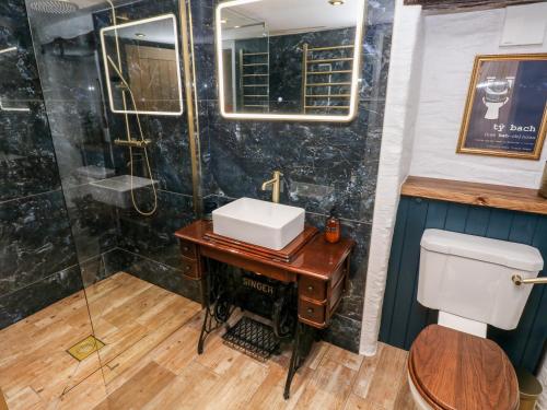 a bathroom with a sink and a shower at Pensarngerrig in Llandysul