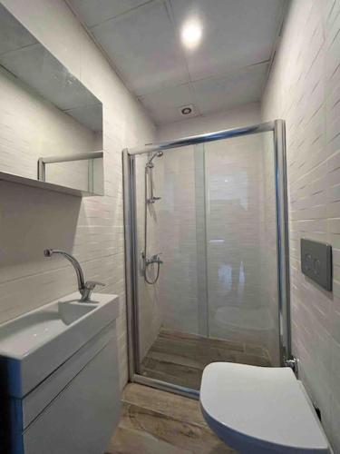 a bathroom with a shower and a toilet and a sink at Espark baglar 1+1+ teraslı daire in Eskisehir