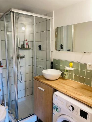 une salle de bain avec douche et lavabo et une machine à laver dans l'établissement Le KÊREL - Super duplex - Rennes, à Saint-Jacques-de-la-Lande