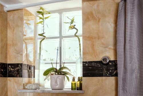 une fenêtre avec une plante sur une étagère dans une salle de bains dans l'établissement Maria's Double Room, à Spáta