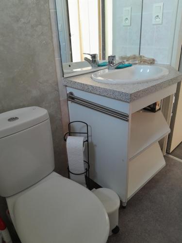 a bathroom with a white toilet and a sink at Gite des 4 vents in Saint-Mayeux
