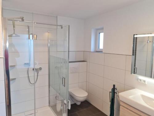 a bathroom with a shower and a toilet and a sink at Ferienwohnung Dörnbergblick Klinge in Calden