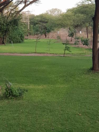 a large field of green grass with a tree at Lorato Camping in Muchenje